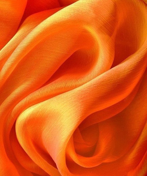 Надежда Бекаревич