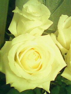 Надежда Панафидина