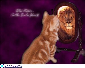 Ситдяшкина Елена