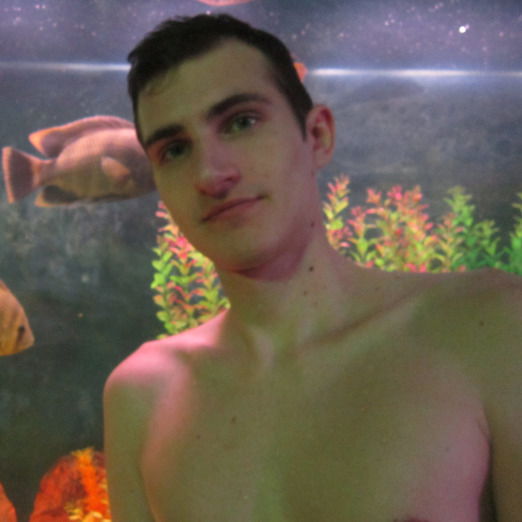 Владимир Старцев