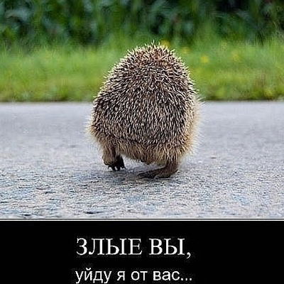 Таня Цугаева