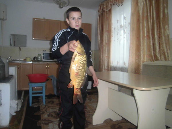 Олег Анищенко