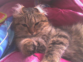 Альбина Зиннатуллина