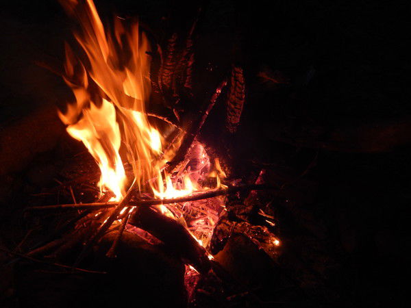 Владимир Комелягин