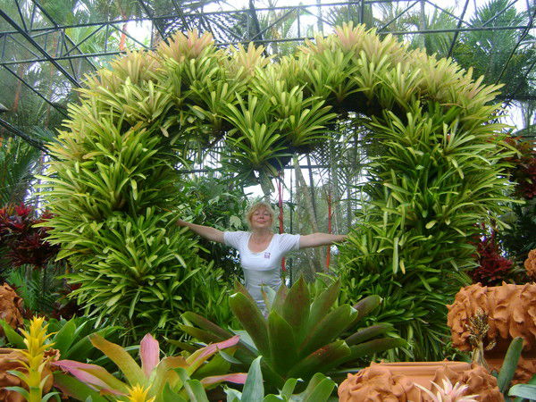 Неизвестно Неизвестно