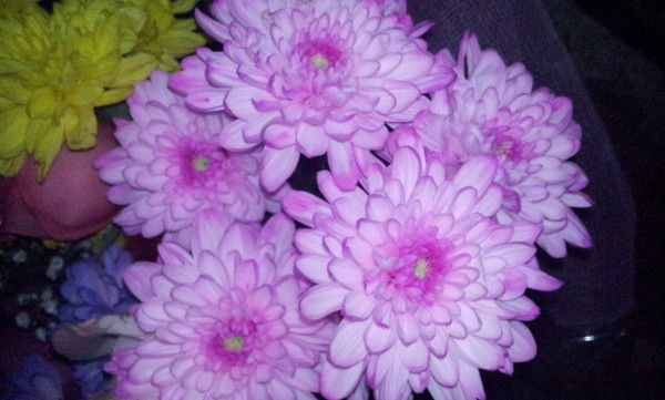 Жания Дюмбаева