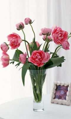 Рамиля Хабибуллина