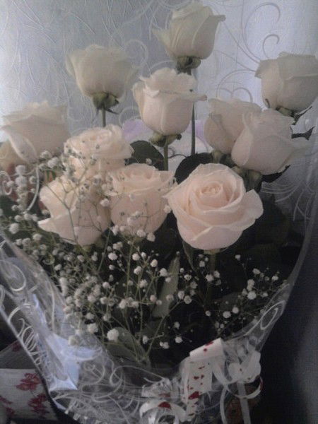 Клавдия Шимохина