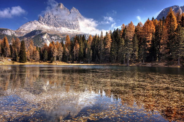 Андрей Гущин