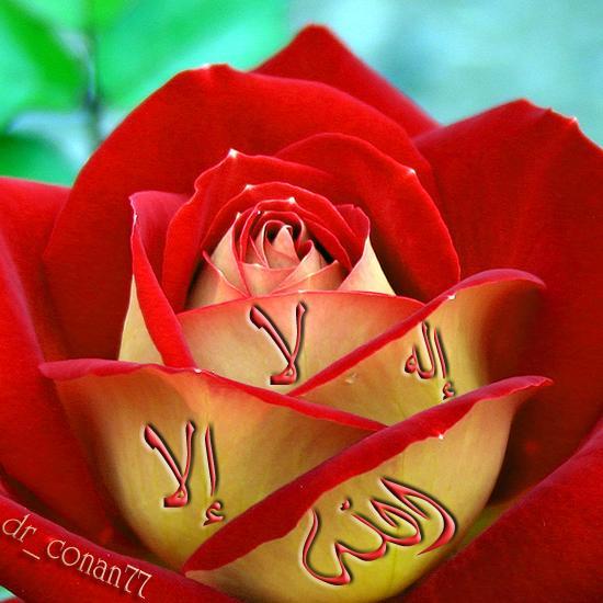 Майрамкан Абдираимова