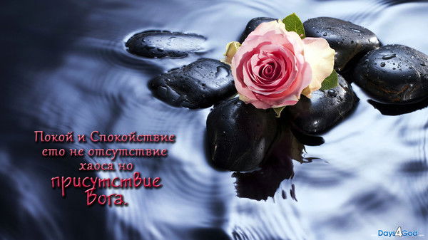 Елена Игнашова