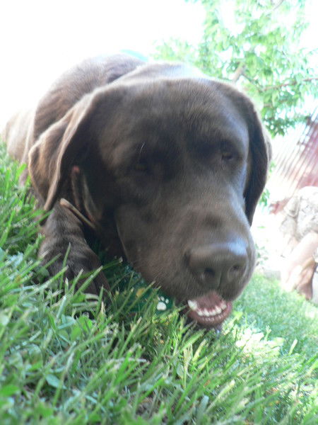 Надежда Твердохлеб