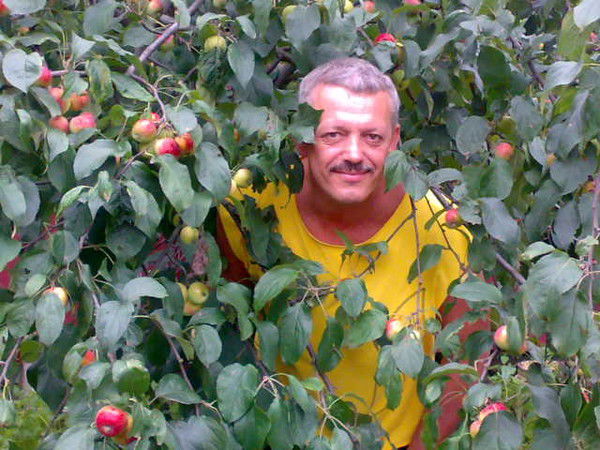 Сергей Цветков