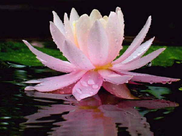 Ольга Титова