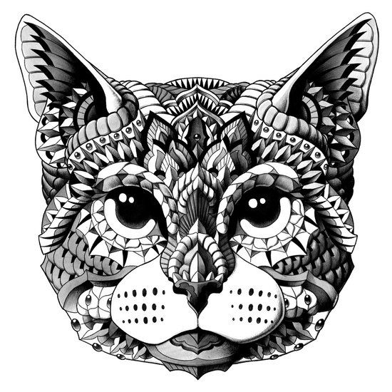 Оля Маркелова