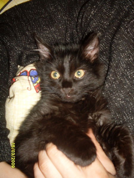 Кристина Шишканова