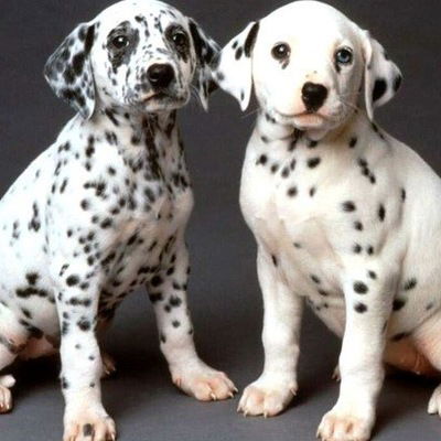 Алёна Сунцова