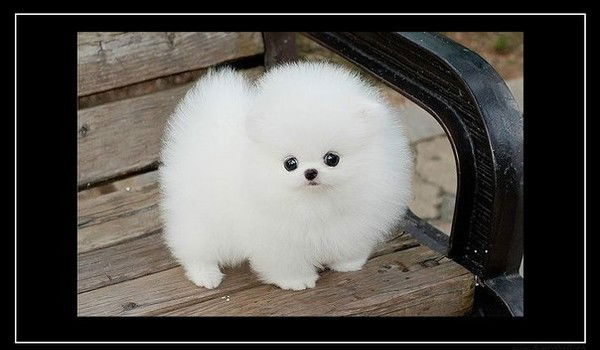 Александра Аксентьева