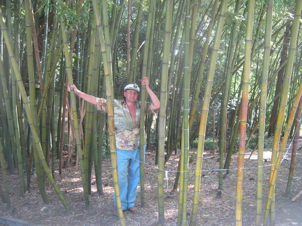 Эдуард Алферьев-Щеголев