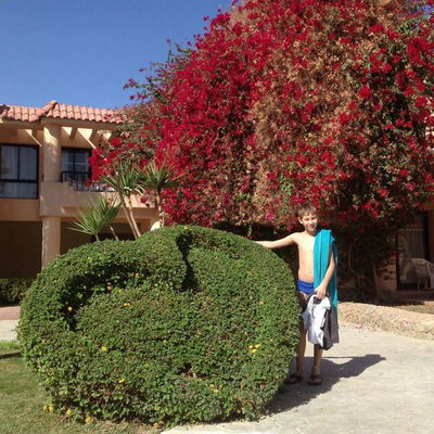 Сергей Носов