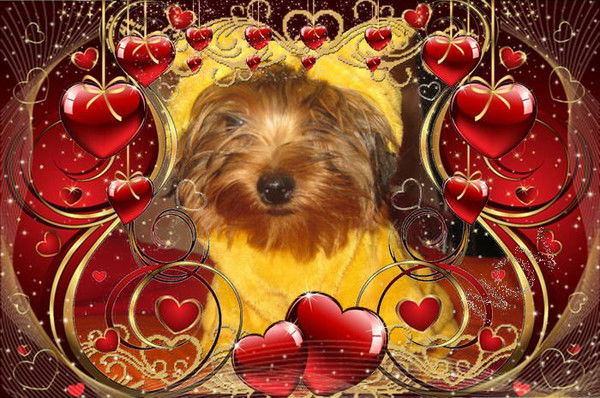 Ольга Новикова