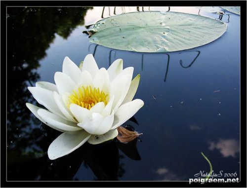 Лилия Кадырбаева