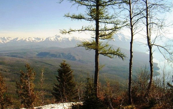 Лариса Мялицына