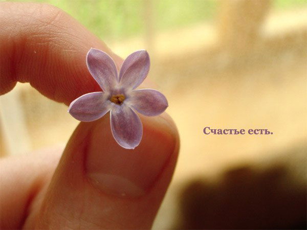 Ирина Ксенофонтова