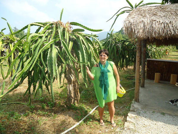 Наталья Воробьёва