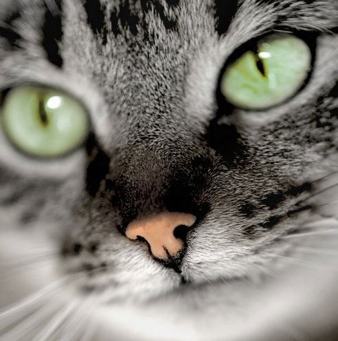 Юлия Попова