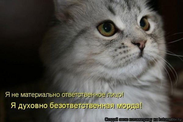 Степан Аврамишин