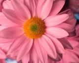 Неизвестно Неизвестно