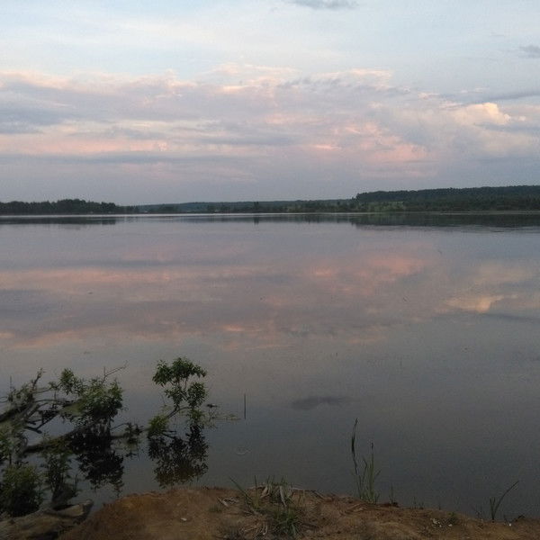 Олеся Власенко