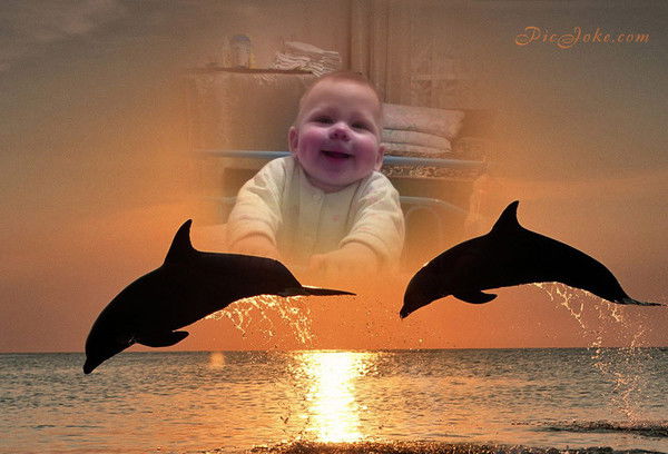 Елена Николаева