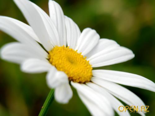 Наталья Рыжкова