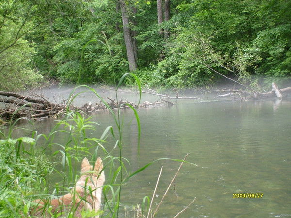 Алексей Иванов