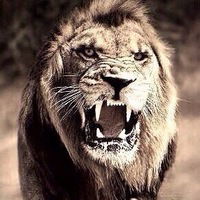 Леван Хачатуров