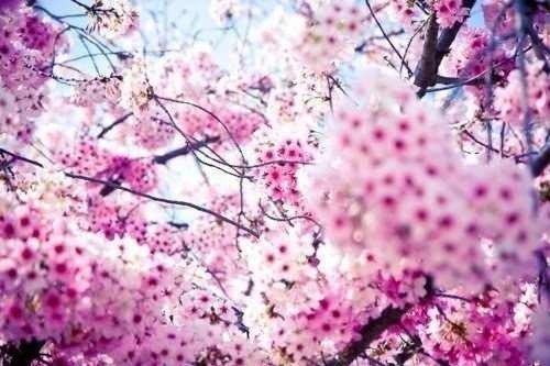 Екатерина Ликаренко