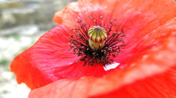 Татьяна Камышева