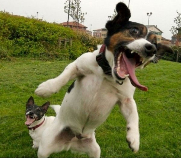 Павел Киждубенко