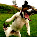 Павел Киждубенко