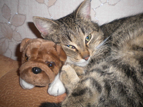 Максим Лёвин