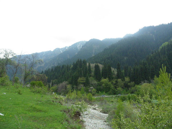 Аскар Юсупов