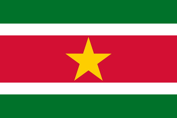 Евгений Сурин