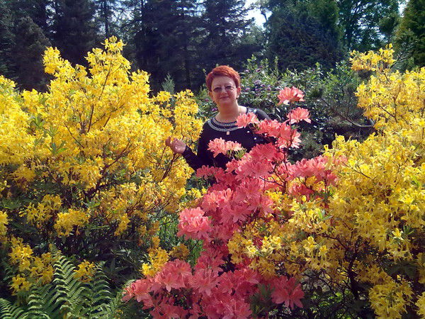 Елена Романенко