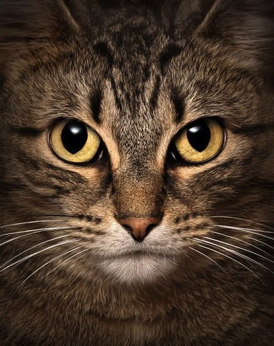 Андрей Селезнёв