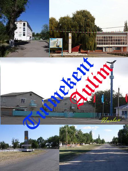 The Beauty Tuimekent