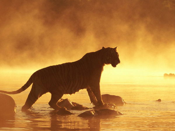 Хон Гильдон