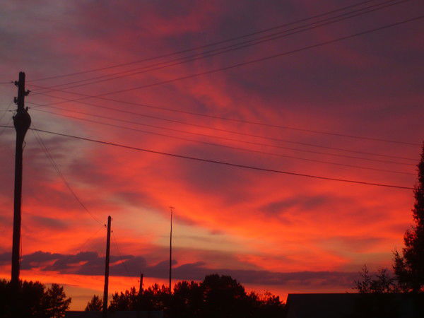 Татьяна Солоха