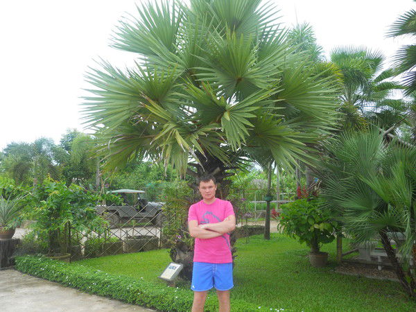 Марат Валиев